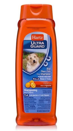 Hartz UltraGuard Rid Flea and Tick Dog Shampoo- 532ml