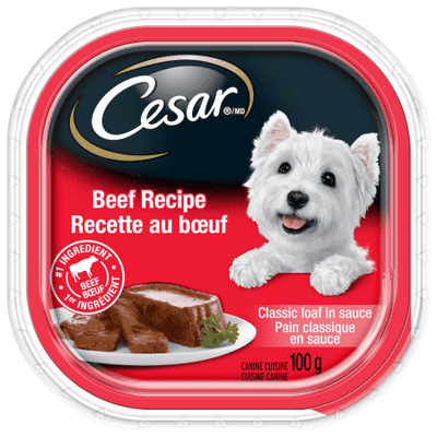 Cesar Beef Recipe Dog Food - 100g - Bringme